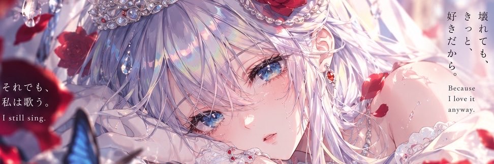 rui_schwarz's profile banner image