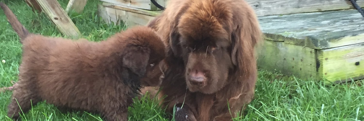 beekienz6's profile banner image