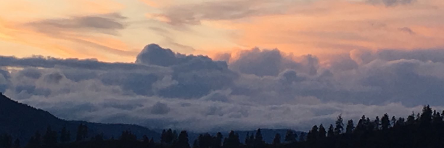 Rylee McKinlay banner