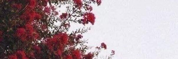 katyLovee_'s profile banner image