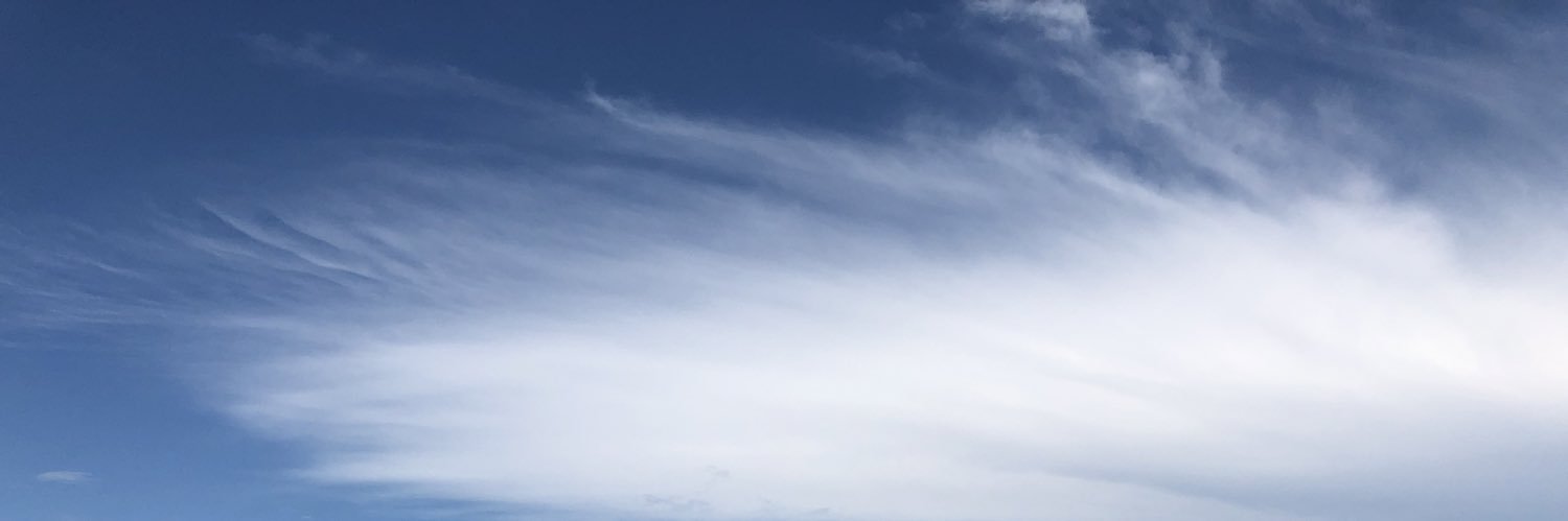 Hungly1120's profile banner image