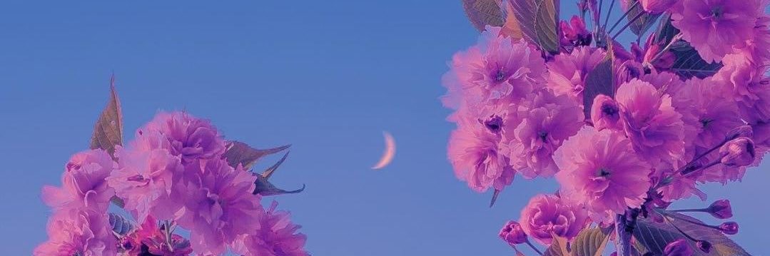 ChyFlyyy's profile banner image