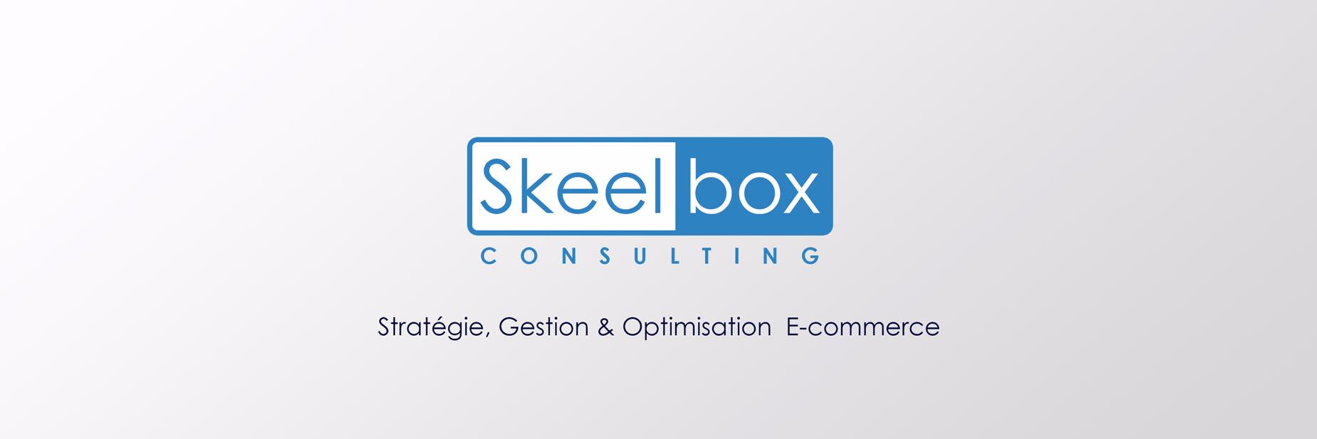 Skeelbox Consulting banner