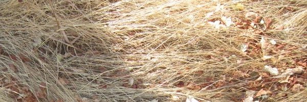 mveitzel's profile banner image
