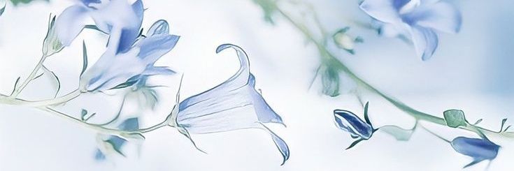 lulinsweet's profile banner image