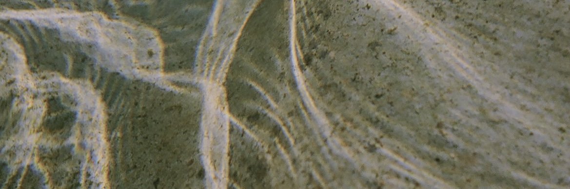 chalicestroebe's profile banner image