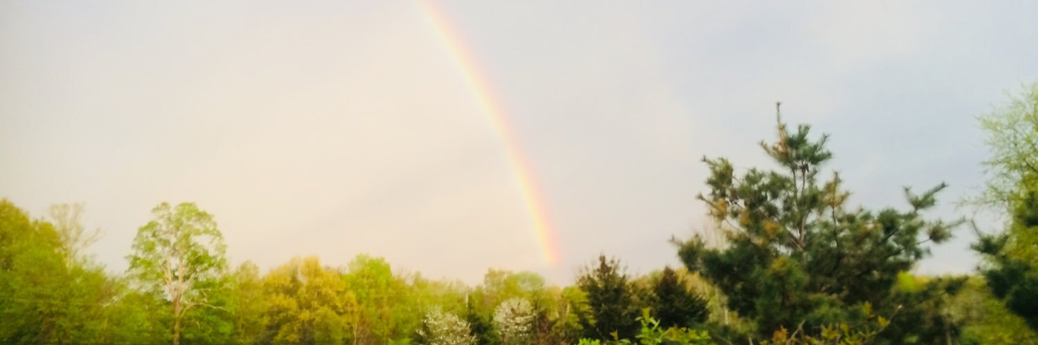Alli_Wilber's profile banner image