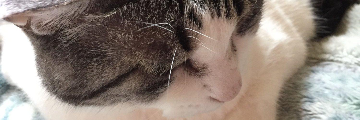 world_heart's profile banner image