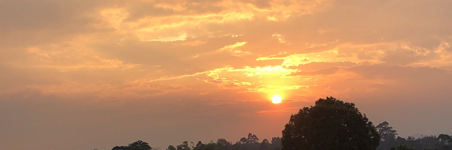 Angeliinnam's profile banner image