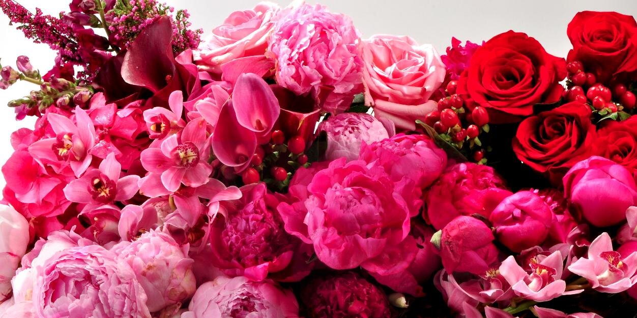 HauteFlower's profile banner image