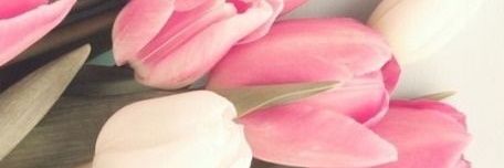 jessicaljaco's profile banner image