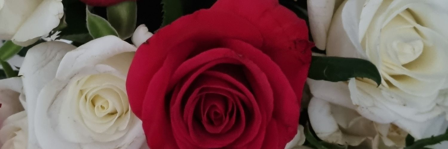 ShazzieRimmel's profile banner image