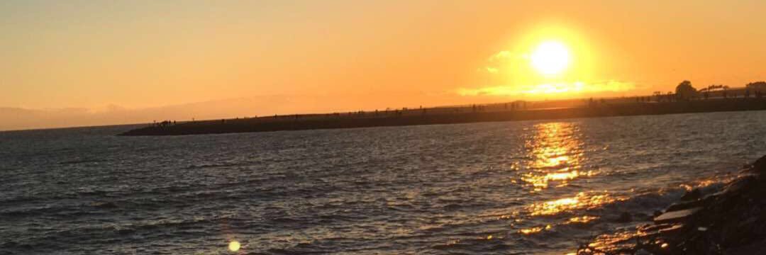 Tayde Rubalcaba banner