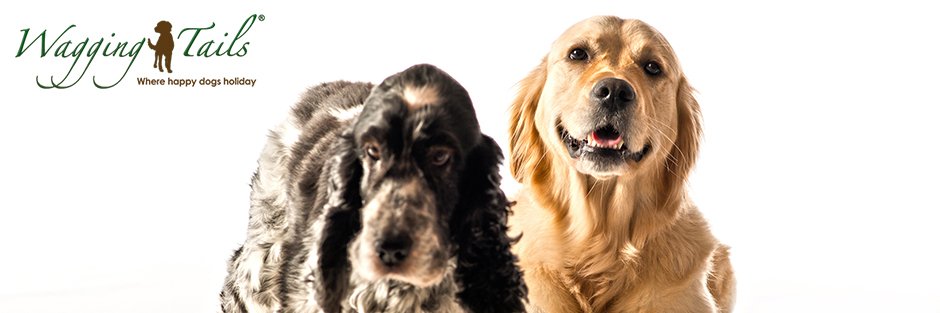 Wagging Tails banner