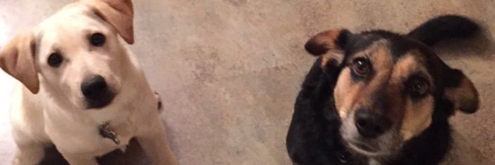 k8lynvesterso's profile banner image