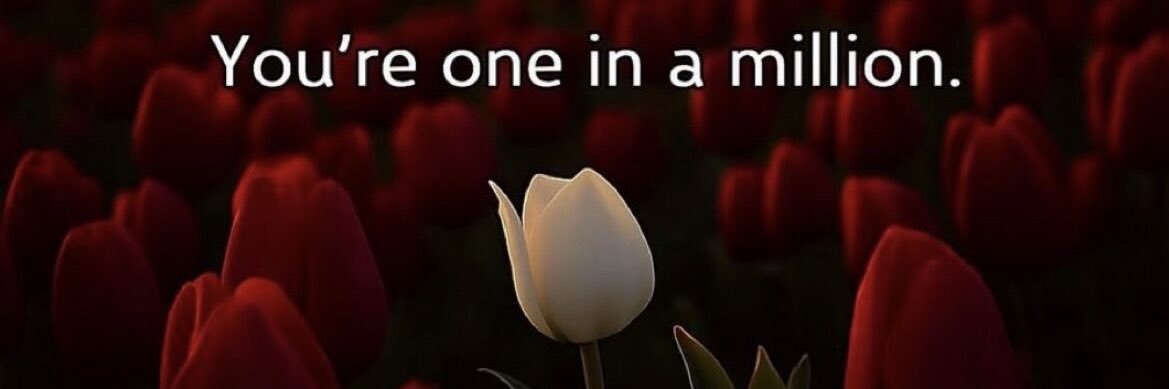 MARIAM NABIL's banner