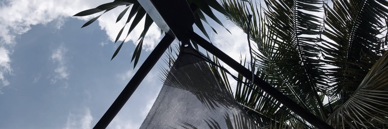 tzerw's profile banner image