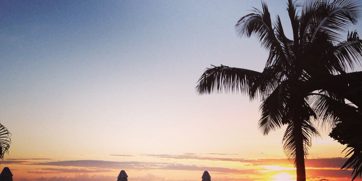 Shamira Mitha banner