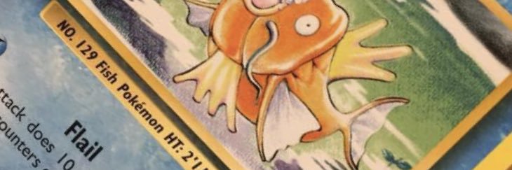 SheehanTaylor's profile banner image