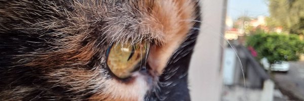 Notemash Profile Banner