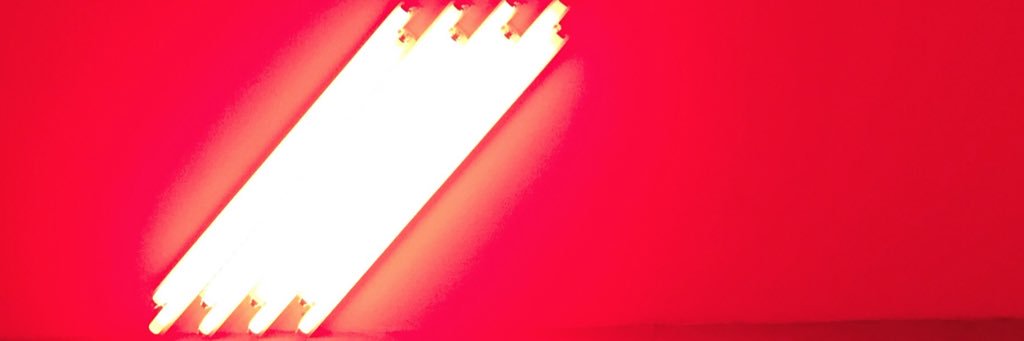 antonella di lazzaro banner