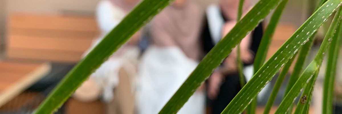 sshsan_'s profile banner image