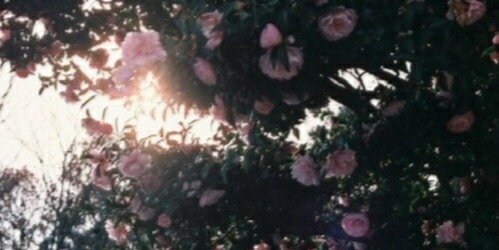 naritahil's profile banner image