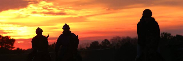 Darren Fleming banner