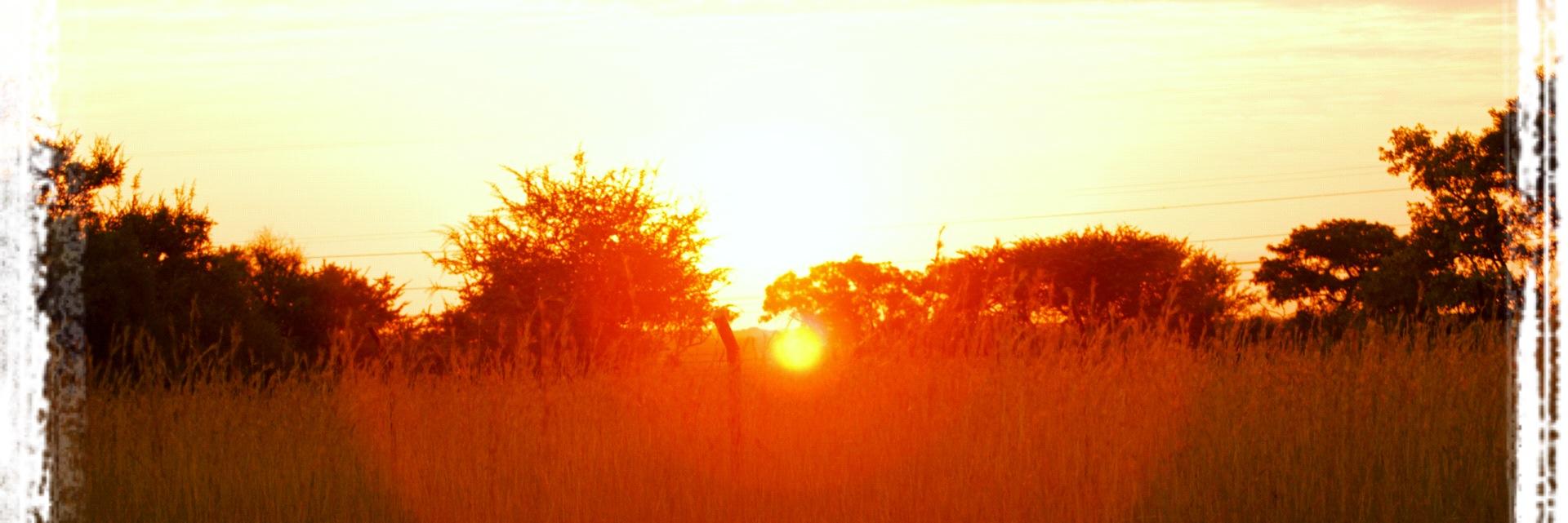 morgans_physio's profile banner image