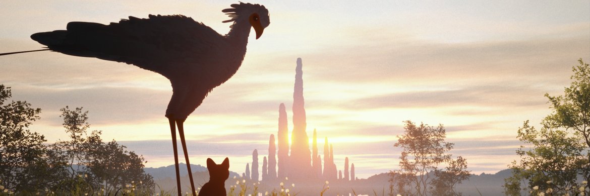 BarbraVacher's profile banner image