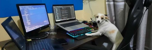 persistantcoder Profile Banner