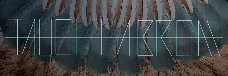 Taught Abroad banner