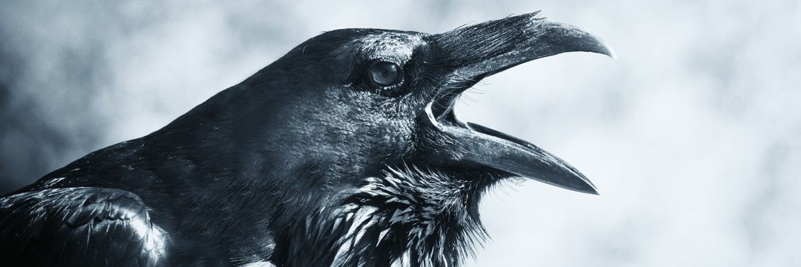 That Mean Raven banner