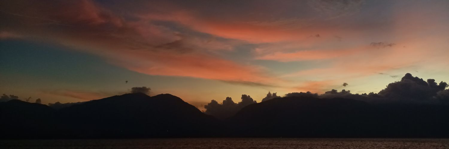 swanseeeaaa's profile banner image