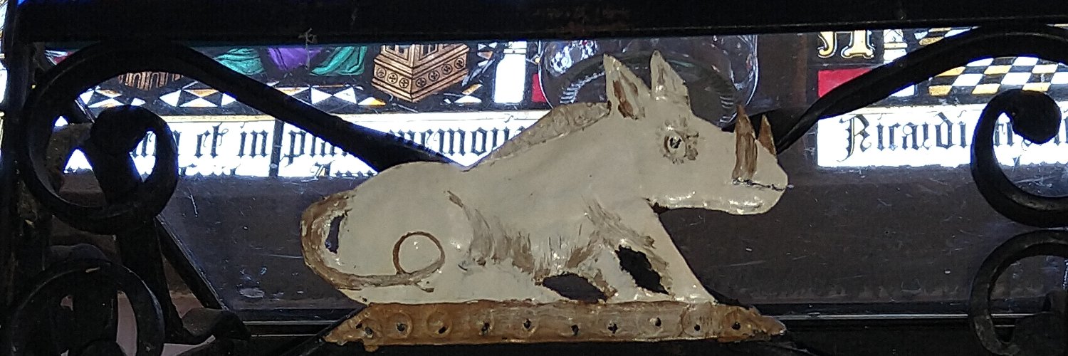 SerpyKat's profile banner image