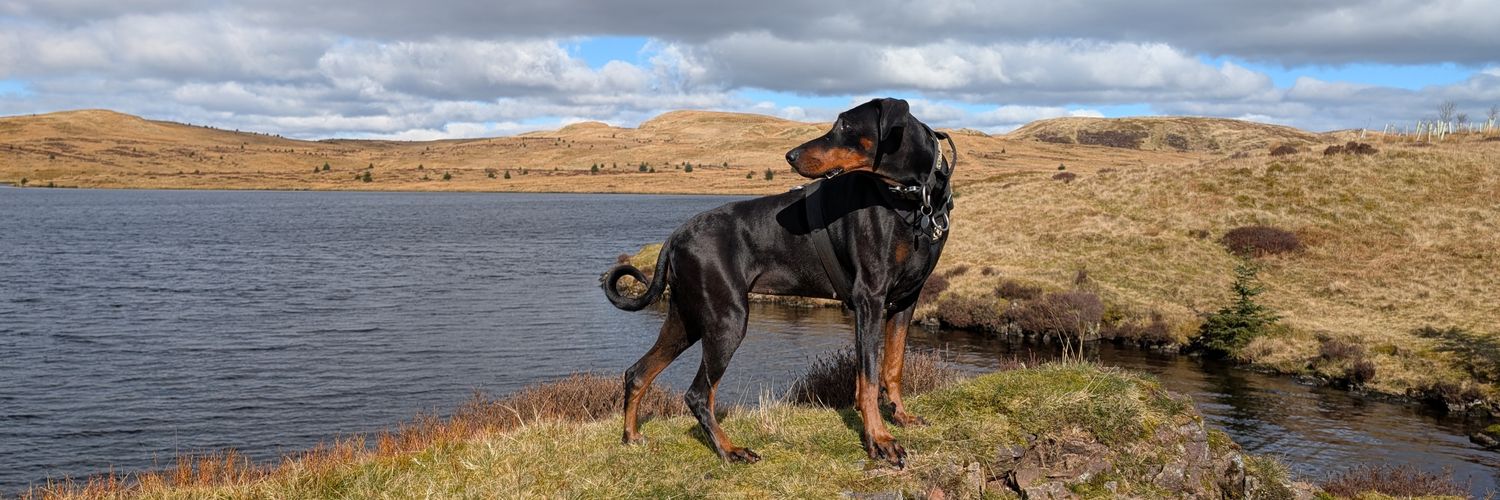 Dom_Kearney's profile banner image