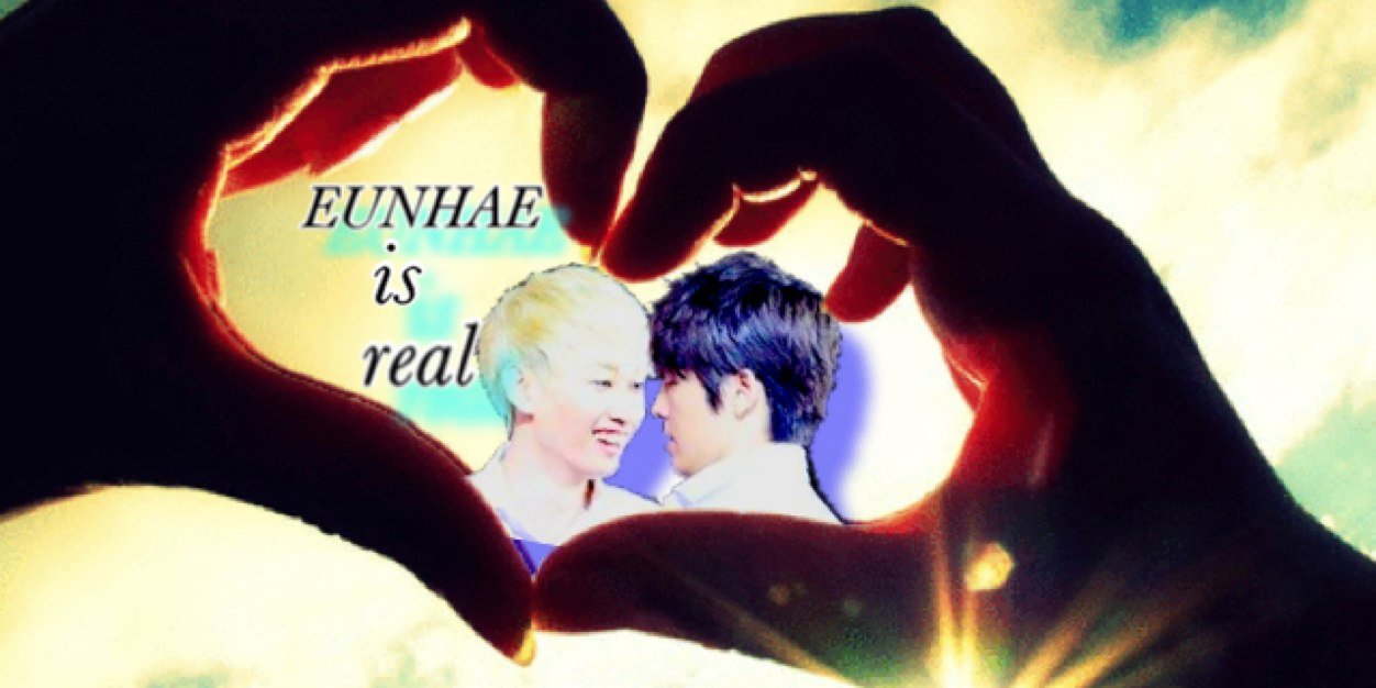fox_sj's profile banner image