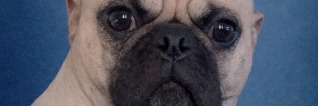 Puggy the Clown banner