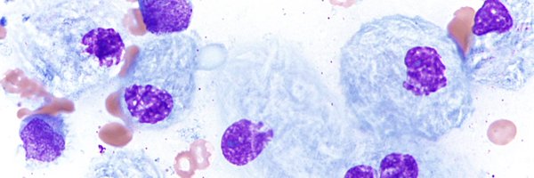 jake_bledsoe Profile Banner