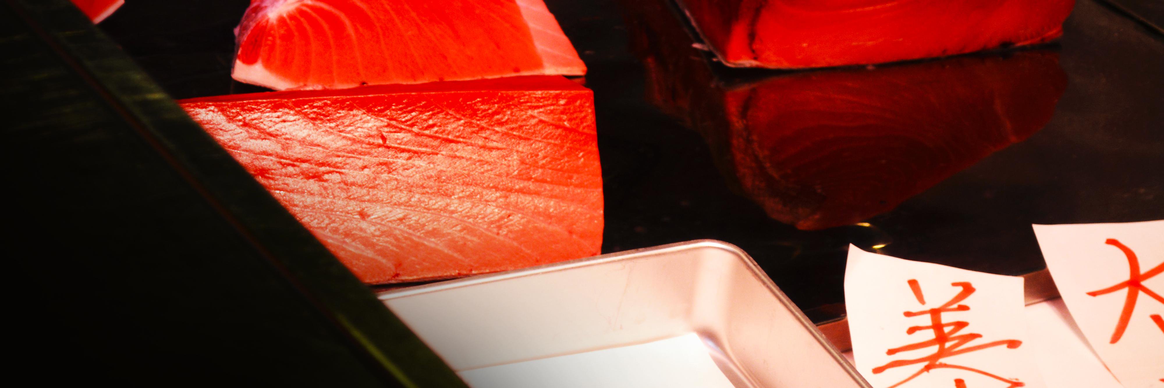 OoraneC's profile banner image