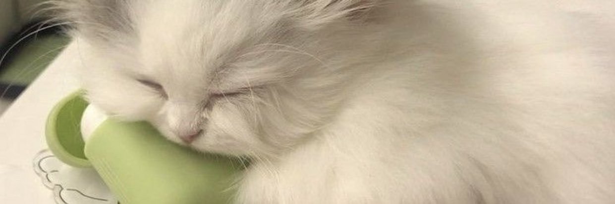 tennsire's profile banner image