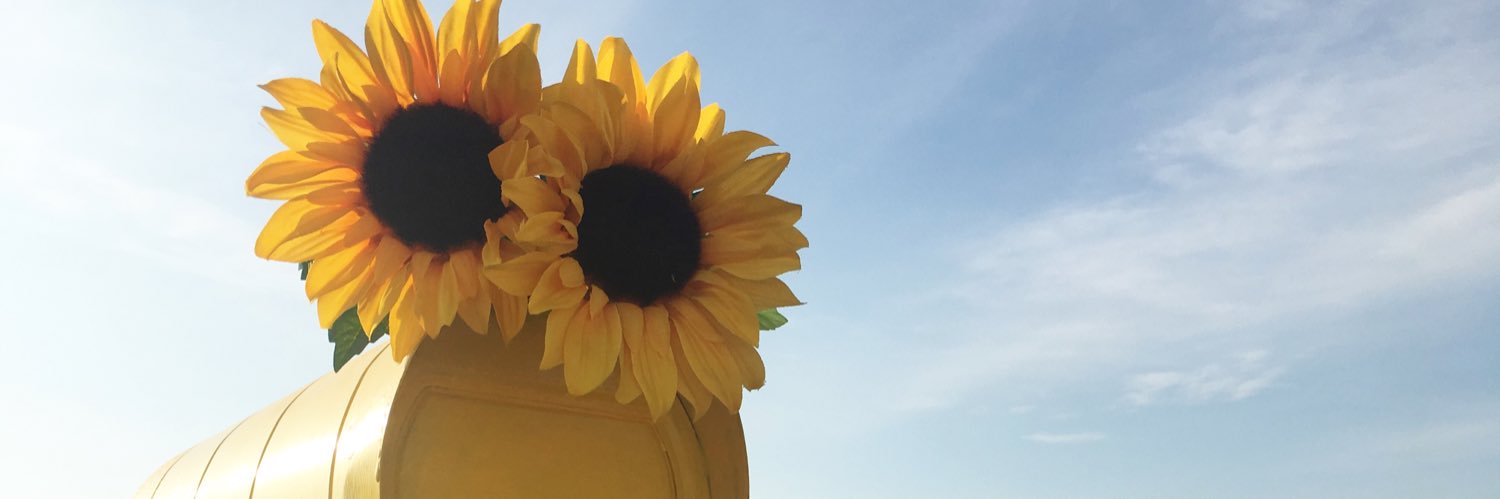 chanmari618's profile banner image