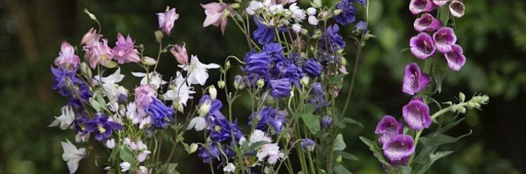 Ashleigh1701's profile banner image