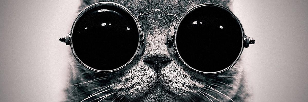 BeerDChamp's profile banner image