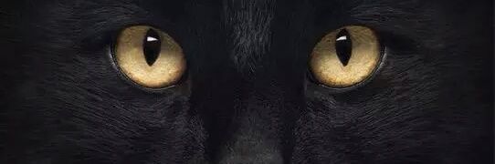 Bebellaaaaa's profile banner image
