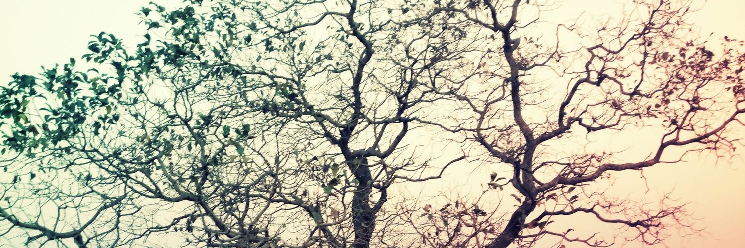kilobyte12's profile banner image
