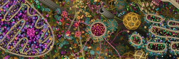 BioTai1 Profile Banner