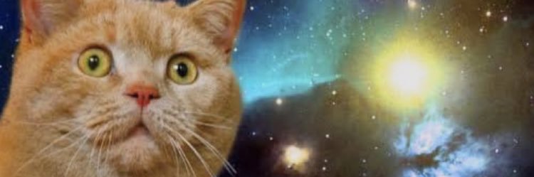 dodome_neko's profile banner image