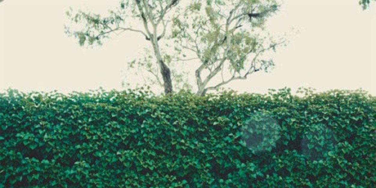 raffe3e's profile banner image