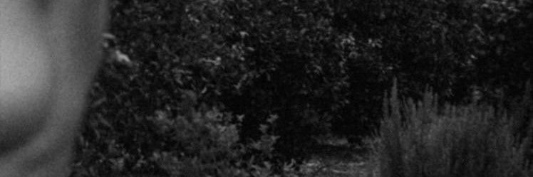 PavlovicD_'s profile banner image